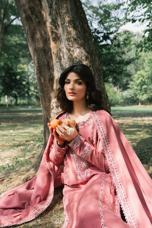 Blush 3 Piece Embroidered Premium Karandi
