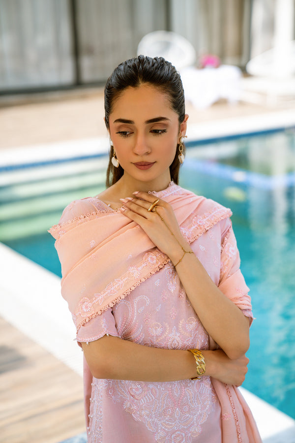 Blush Rose