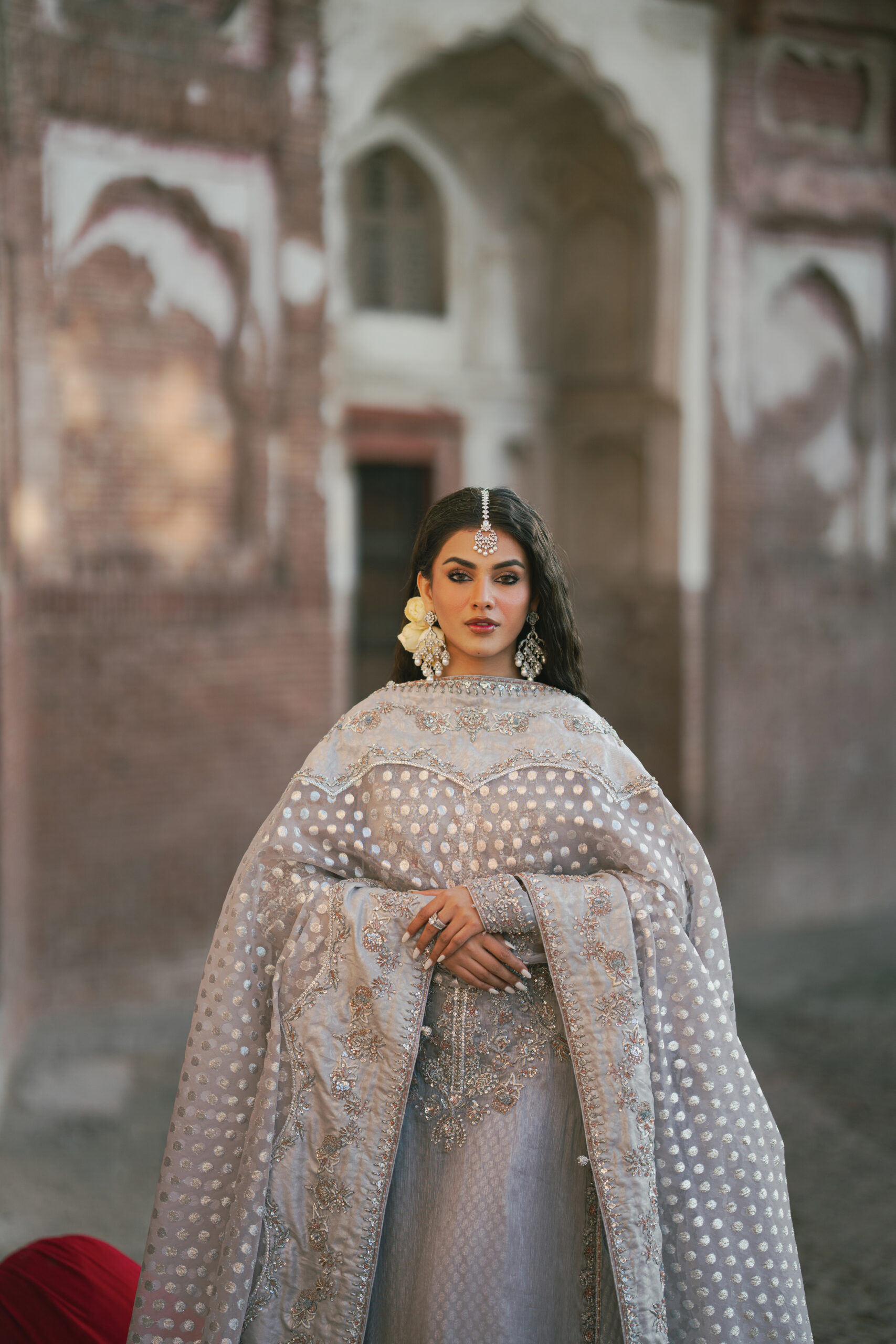 Wisteria 4 Wisteria - Image 4