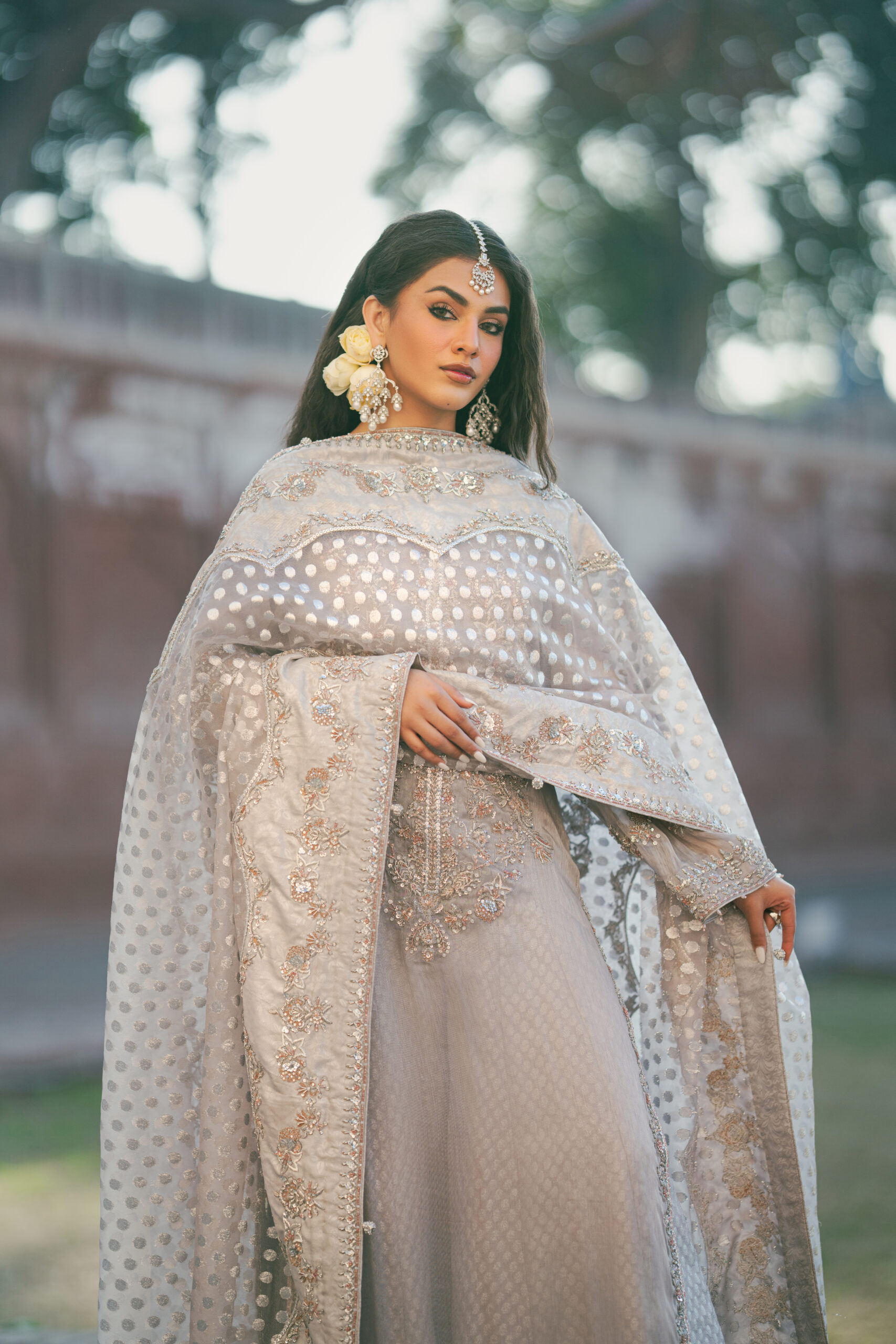 Wisteria 5 Wisteria - Image 5