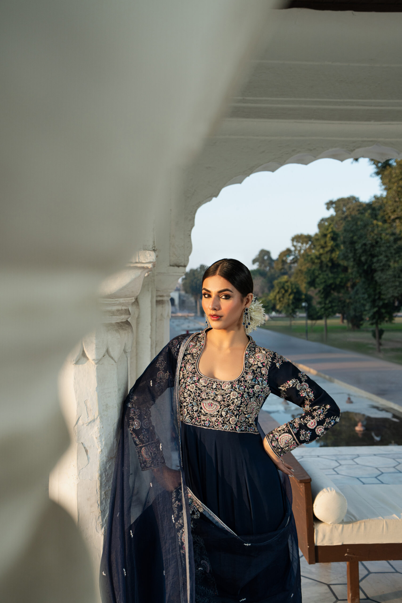 Aster 6 Aster - Image 6