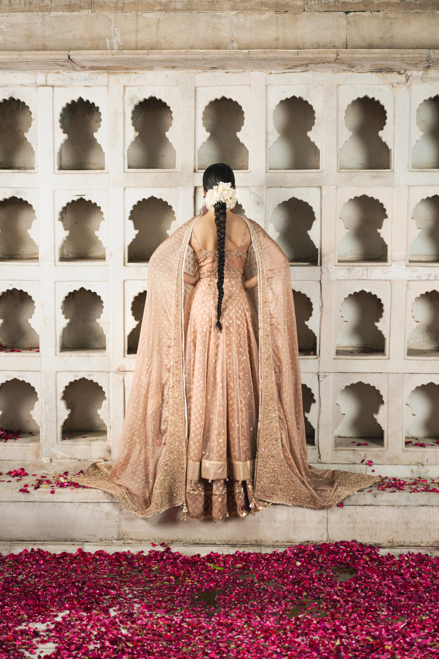 Camellia 3 Camellia - Image 3