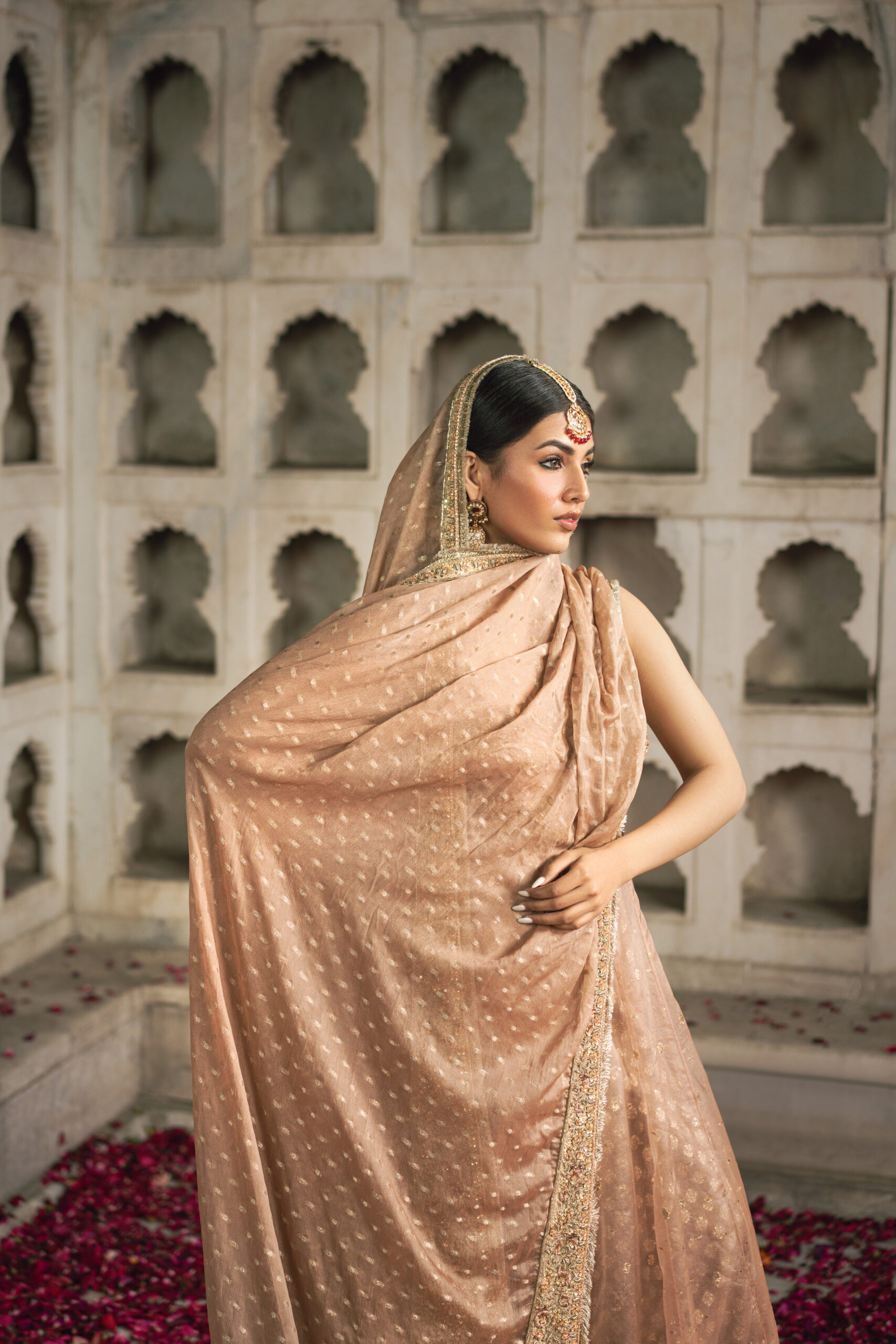 Camellia 5 Camellia - Image 5