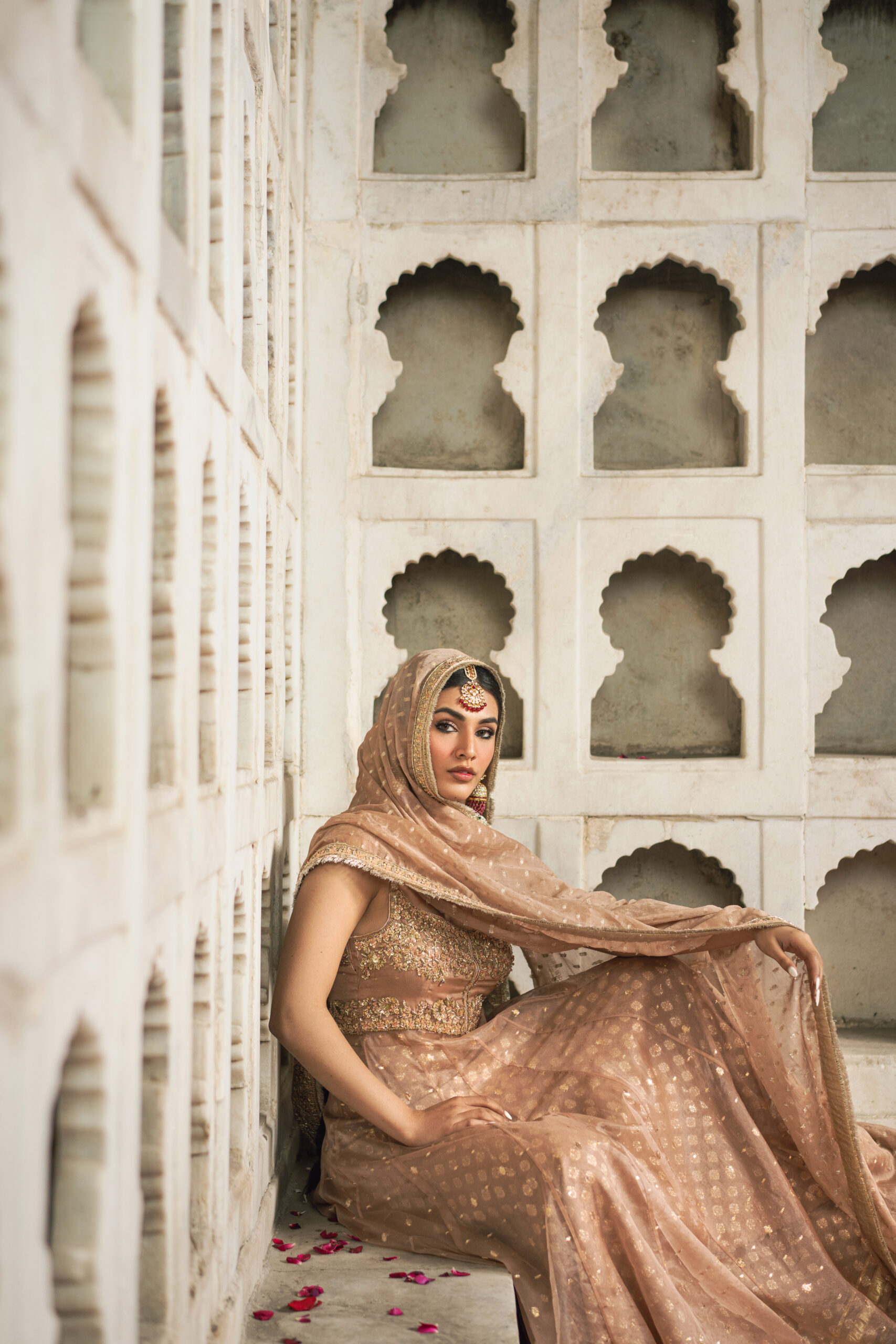 Camellia 6 Camellia - Image 6